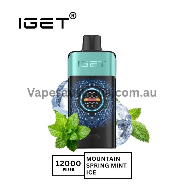 iget one 12000 puffs mountainspring mint ice