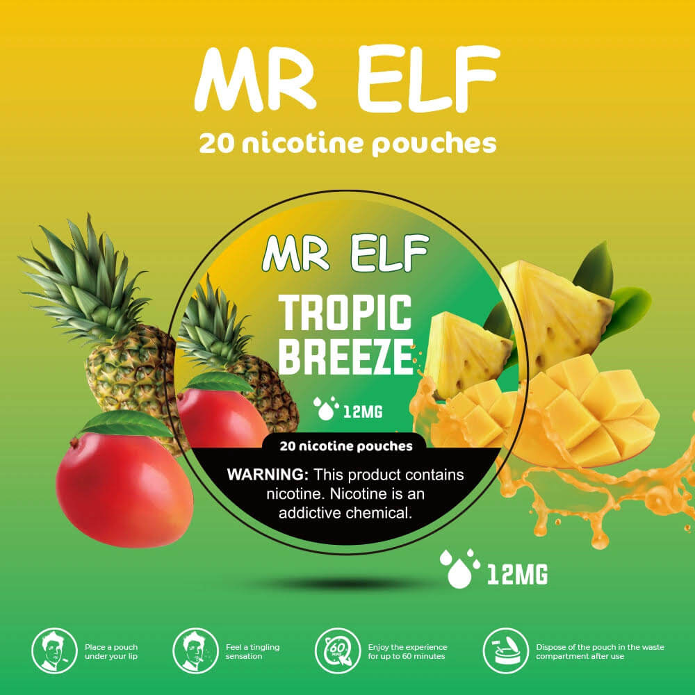 mr elf snus nicotine pouch 12mg